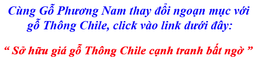 bảng báo giá gỗ thông (pine) Chile nhập khẩu mới