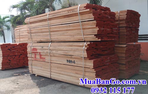 gỗ beech nhập khẩu