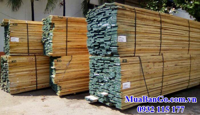 Giá kiện gỗ Sồi hiện nay