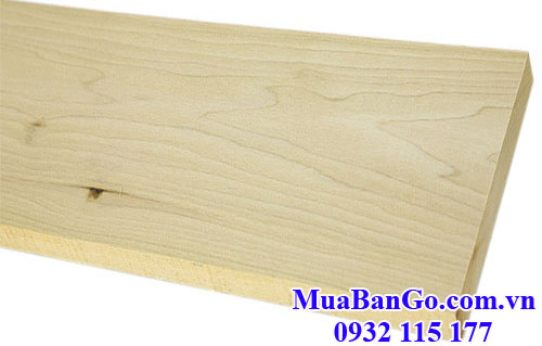 gỗ bạch dương (gỗ poplar)