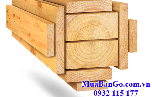 gỗ thông (gỗ pine) newzealand xẻ sấy