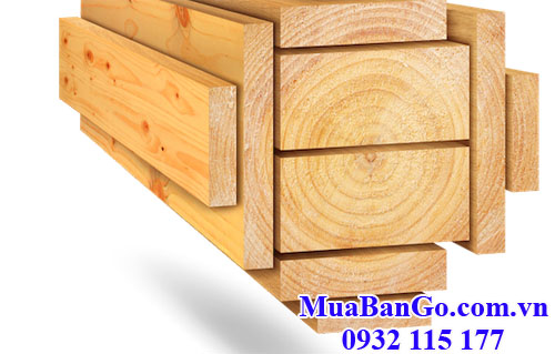 gỗ thông newzealand nhập khẩu ngày càng khách hàng quan tâm