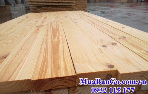 gỗ thông (pine) brazil nhập khẩu
