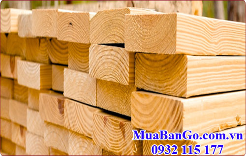 gỗ thông (pine) nhập khẩu chất lượng tốt