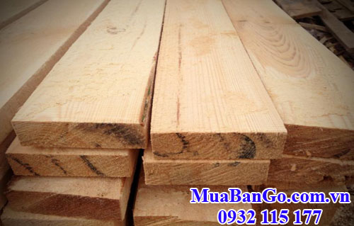 gỗ thông (pine) nhập khẩu ngày càng diễn ra sôi động