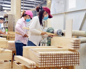 Bắt tay nâng chất lượng cho đồ gỗ Việt