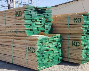 Giá gỗ tần bì – gỗ ash nhập khẩu hiện nay là bao nhiêu?