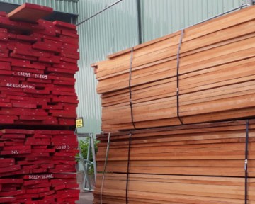 Giá mua gỗ Dẻ Gai (Beech) 2023 một khối bao nhiêu tiền?