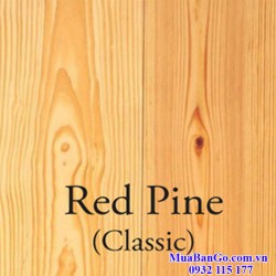 Gỗ Thông (Pine) Đỏ