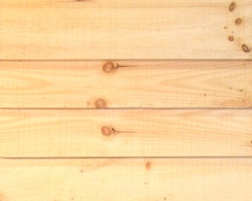 Liệu gỗ thông có độ bền bất tử hay không