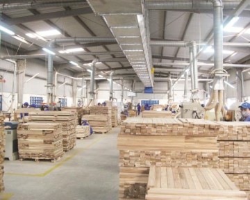 Xuất khẩu gỗ: Tăng trưởng mạnh, tiềm năng lớn