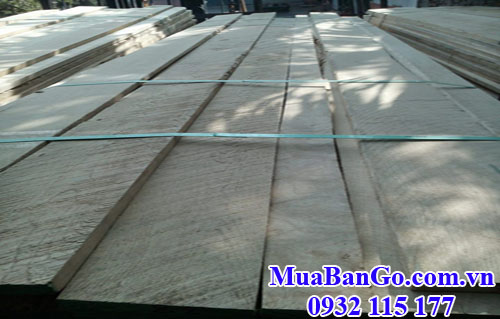 gổ tần bì - ash lumber - bao nhiêu 1 khối