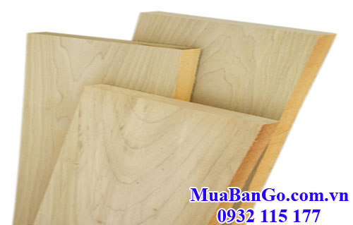 cung cấp gỗ bạch dương (gỗ poplar) uy tín