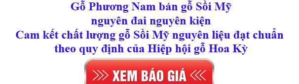 giá gỗ sồi Mỹ nguyên liệu nhập khẩu