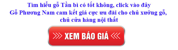 giá gỗ tần bì nhập khẩu bao nhiêu 1 khối