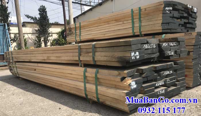 Mua gỗ tần bì (gỗ ash) xẻ sấy