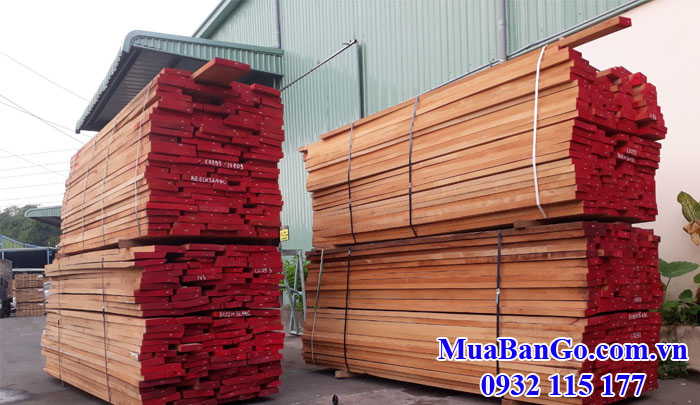 Giá bán gỗ Beech nhập khẩu