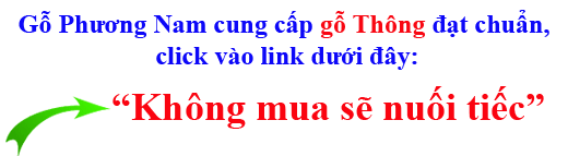 giá thành gỗ thông (pine) nhập khẩu