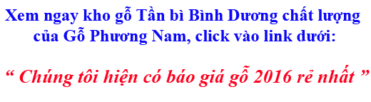 giá tiền gỗ tần bì (gỗ ash) nhập khẩu