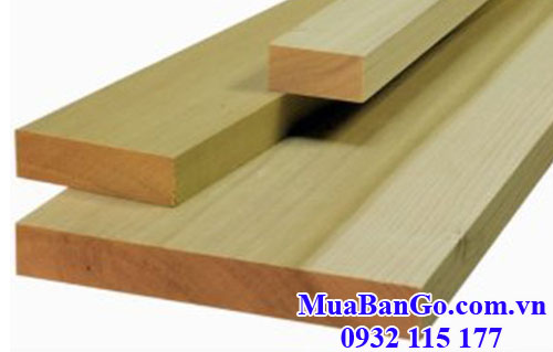 gỗ bạch dương (gỗ poplar) xẻ thanh nhập khẩu