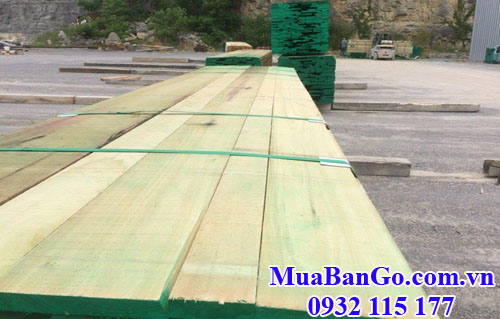 gỗ dương (gỗ poplar) nguyên kiện