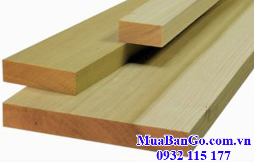 gỗ dương (gỗ poplar) nhập khẩu