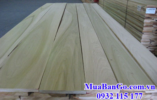 gỗ dương (gỗ poplar) nhập nguyên đai nguyên kiện