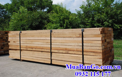 gỗ sồi trắng (gỗ white oak) nguyên đai