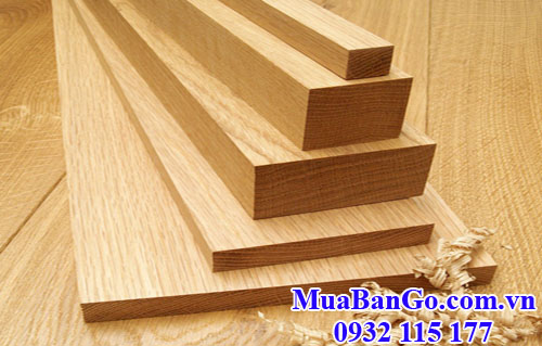 gỗ sồi trắng (white oak) được nhiều người thích