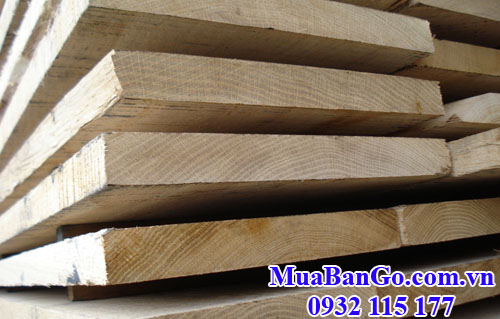 gỗ sồi trắng (white oak)