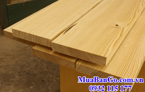 gỗ thông (pine) vàng nhập khẩu