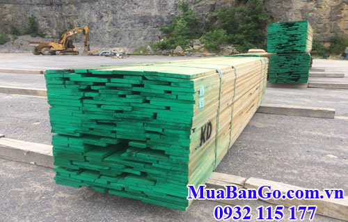 kiện gỗ dương (gỗ poplar) nhập khẩu